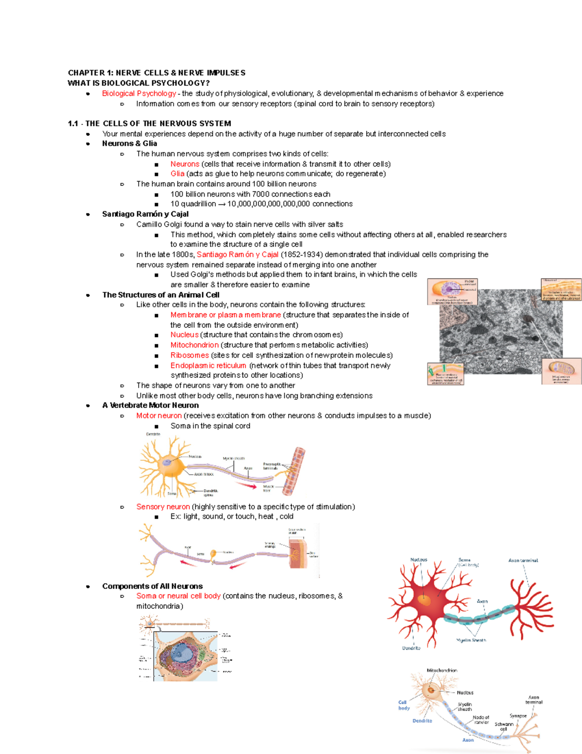 psb-3002-chp-1-notes-chapter-1-nerve-cells-nerve-impulses-what-is