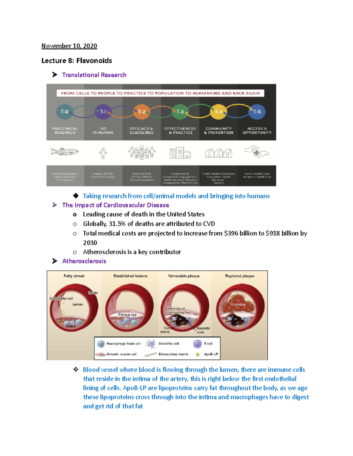 Lecture 8Flavonoids Flavonoids November 10, 2020 Lecture 8