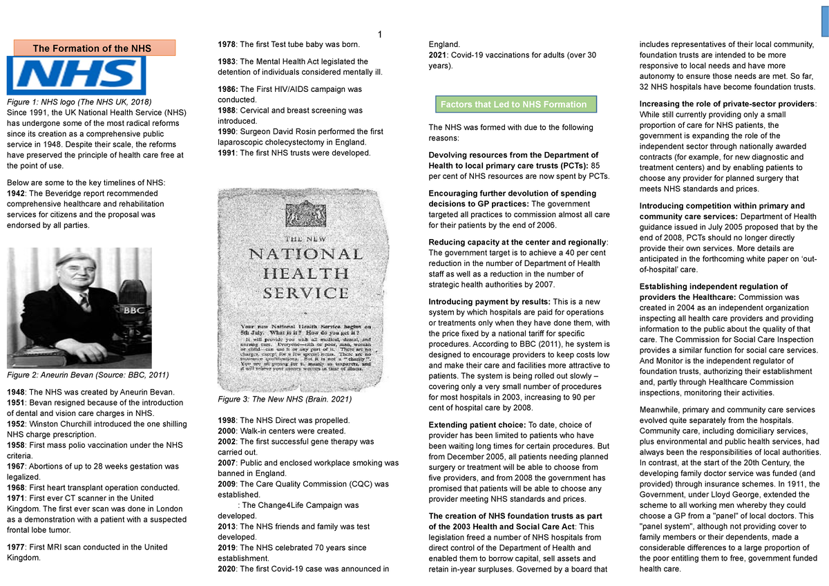 the history of the nhs assignment