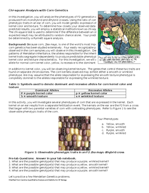 Chi Square Practice 2 - Important chart - AICE Biology Chi Square ...