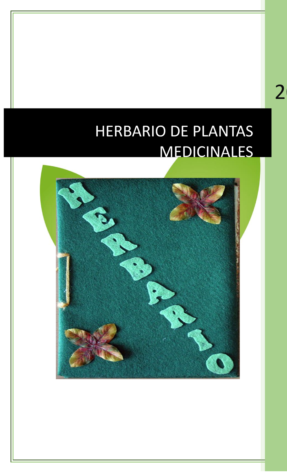 Herbario De Plantas Medicinales Herbario De Plantas Medicinales Medicinales Studocu