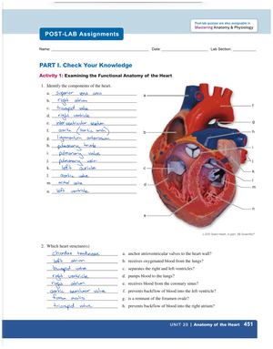 Chapter+19+-+Hematology - 19 Blood Overview of Blood Build Your Own ...