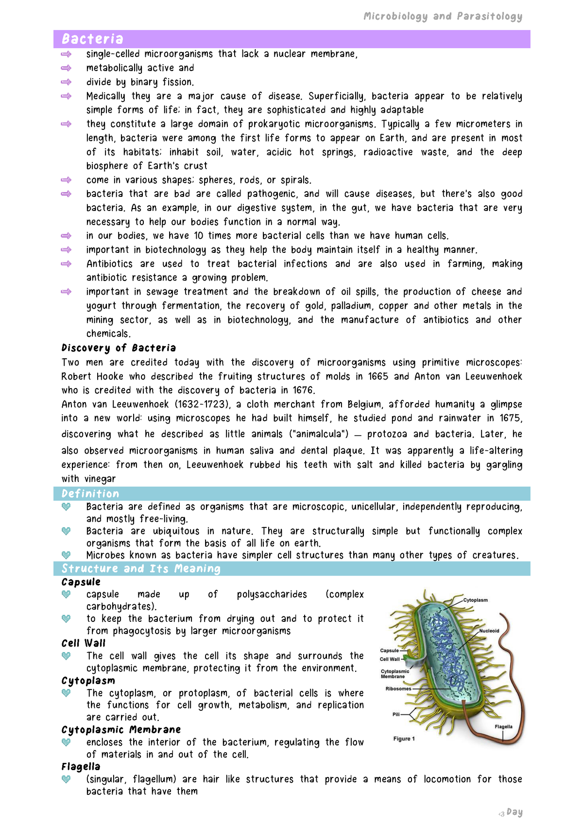 Microbio Report Notes - Bacteria single-celled microorganisms that lack ...