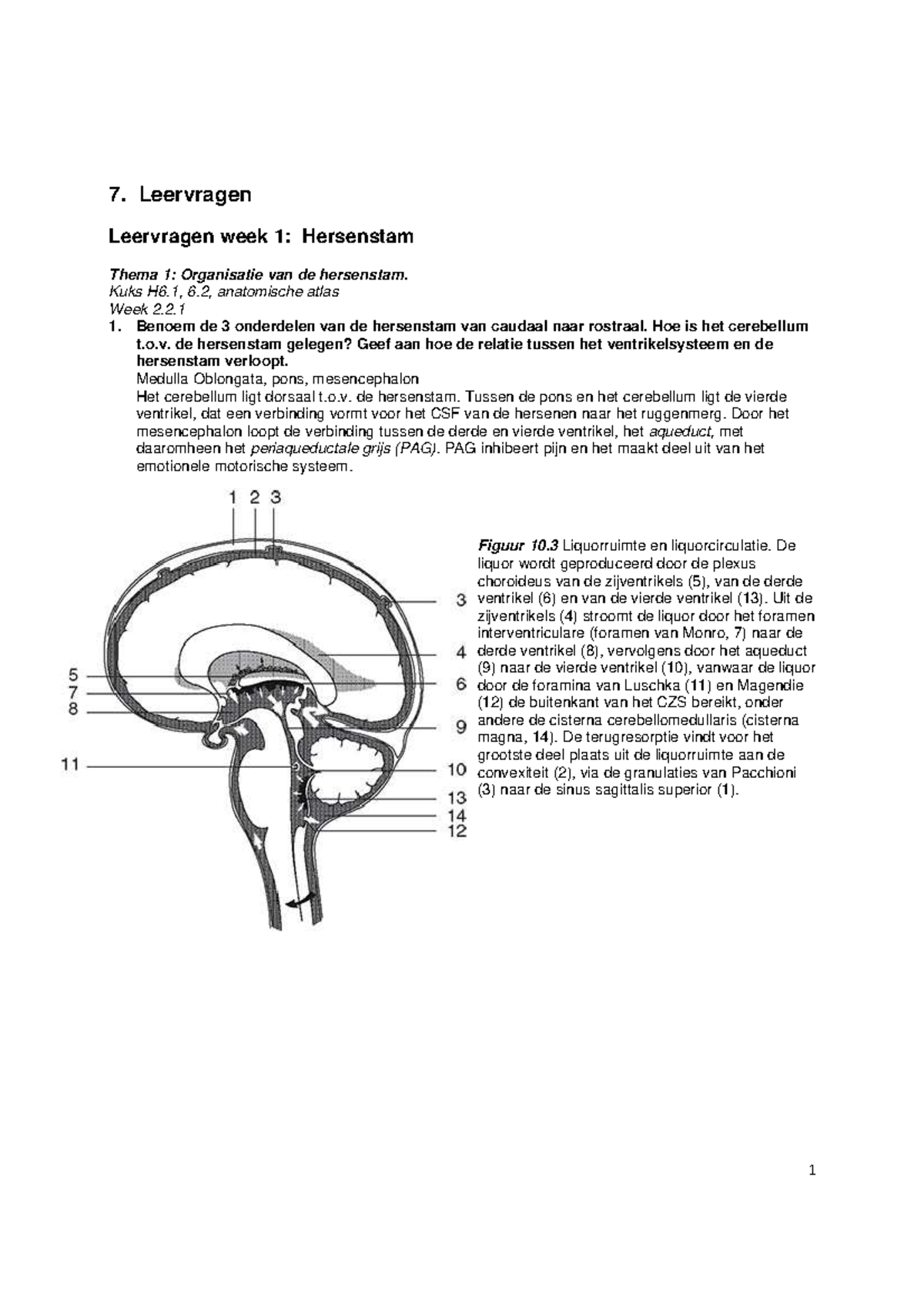 Samenvatting GK2.2 Bemerken en verwerken Uitwerkingen