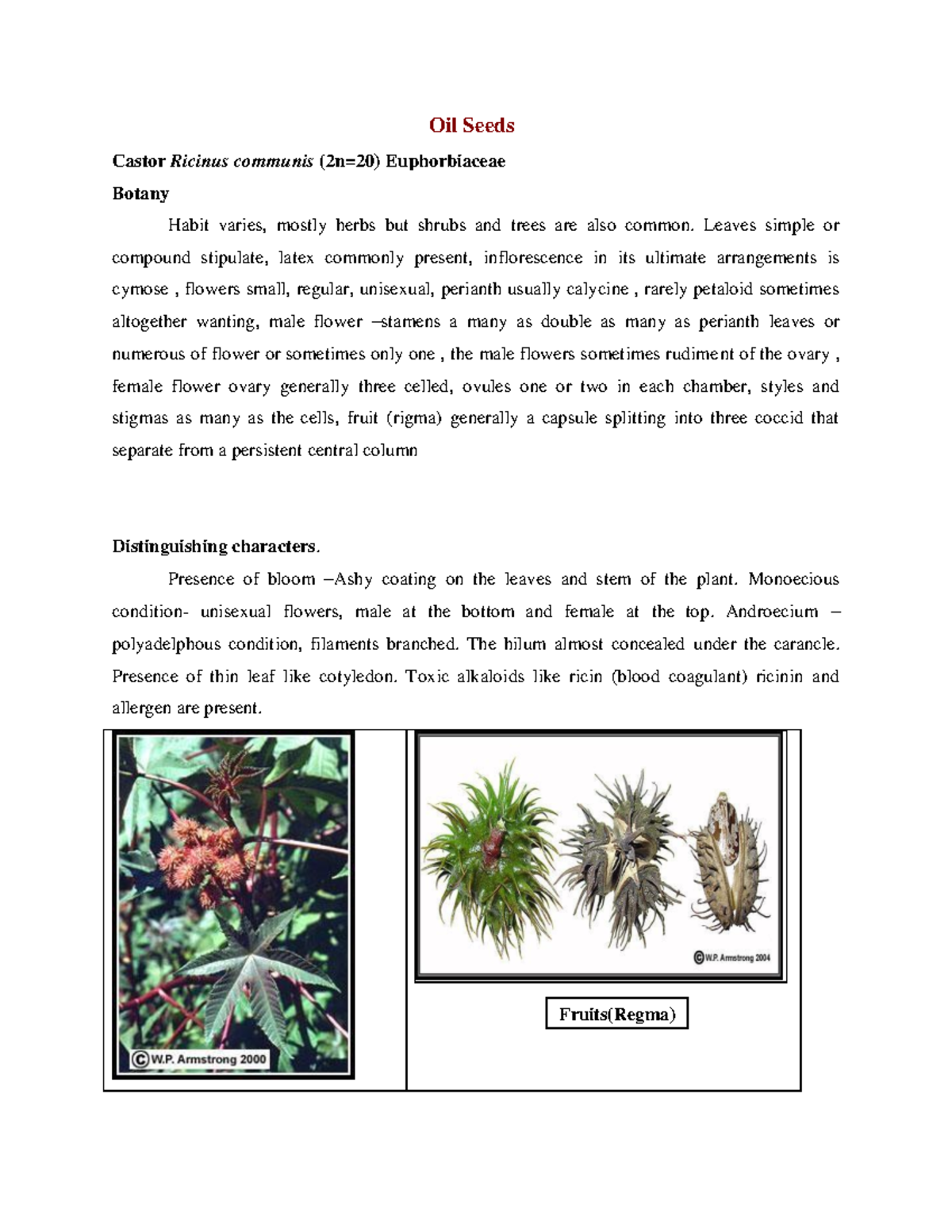 Classification of Plants oil seeds Cont 2 Oil Seeds Castor Ricinus