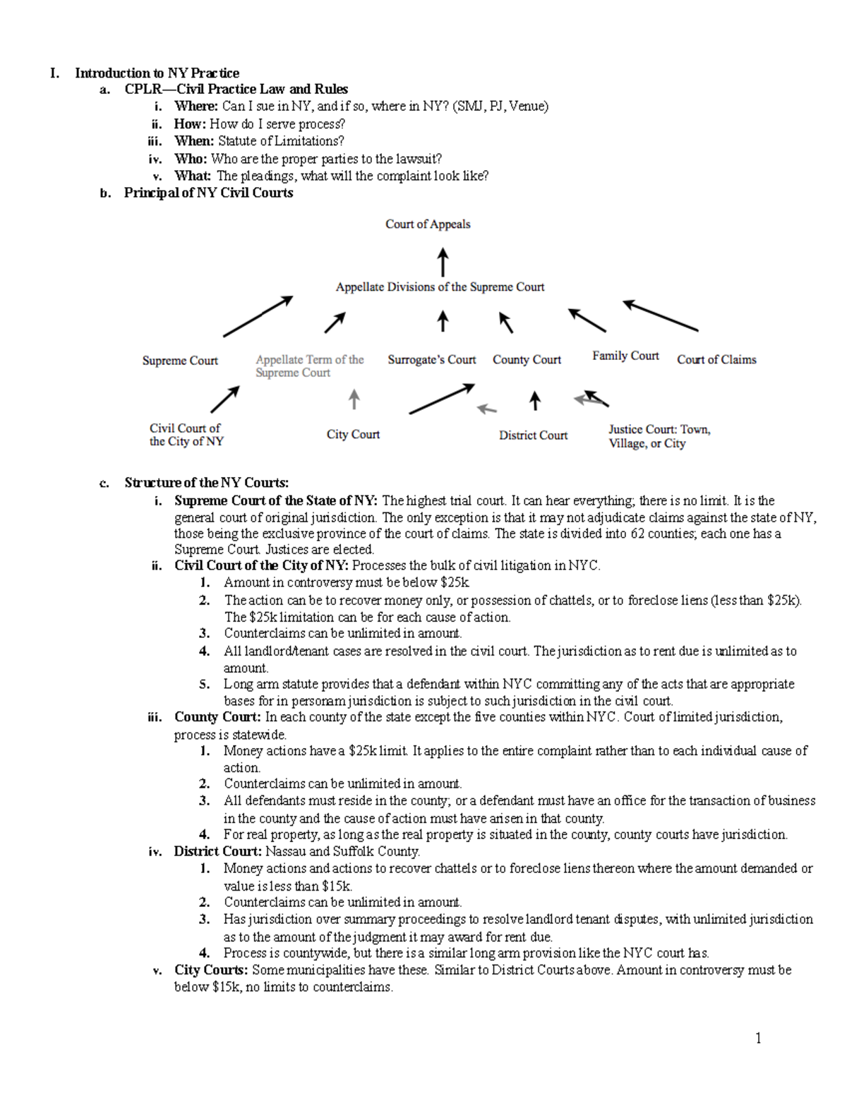 nypractice-finals-outline-spring-2012-i-introduction-to-ny-practice