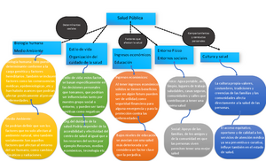 mapa conceptual factores que perjudican la salud publica - Cultura y salud  La cultura - Studocu