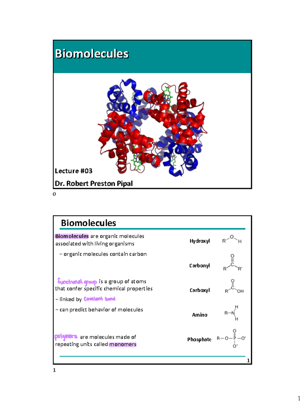 Lecture+03+Biomolecules - 0 Biomolecules Lecture Dr. Robert Preston ...