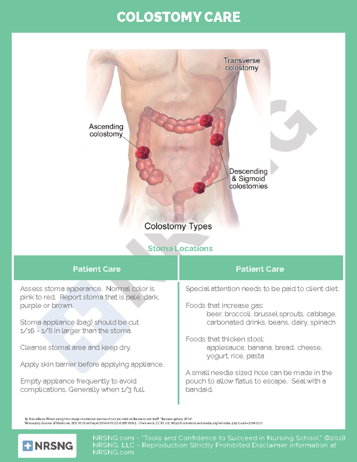 Colostomy care - NRSNG - “Tools and Confidence to Succeed in Nursing ...