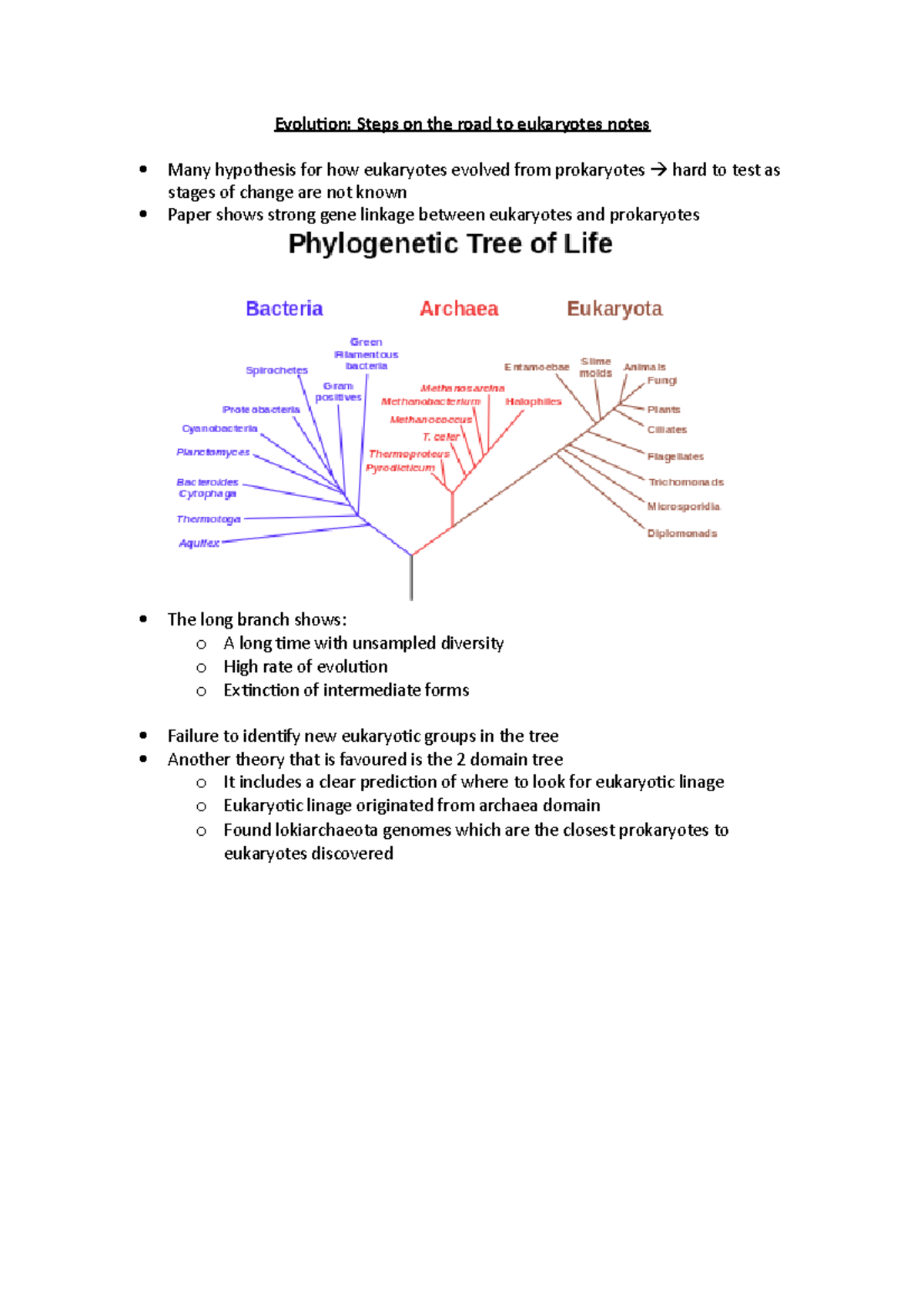 Evolution - notes - Evolution: Steps on the road to eukaryotes notes ...