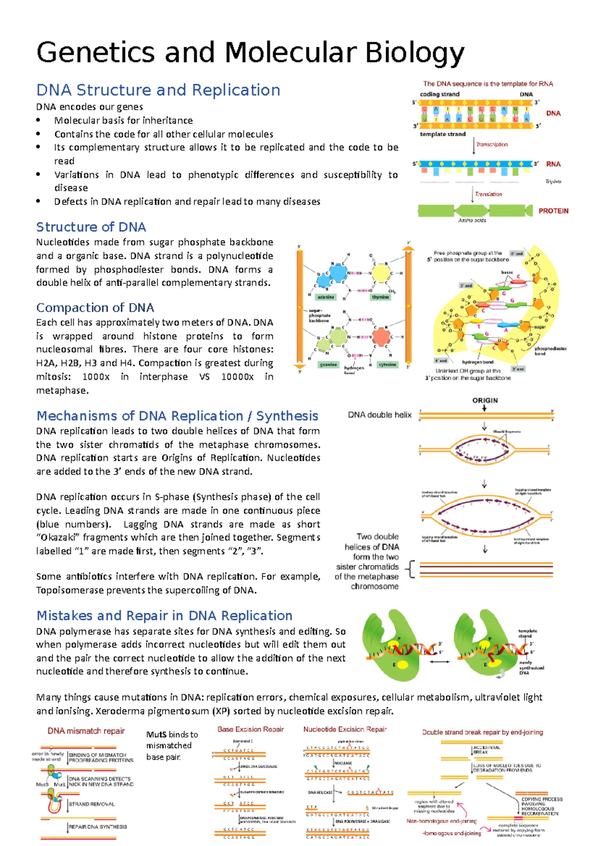 Genetics And Molecular Biology 👁 - Genetics And Molecular Biology DNA ...