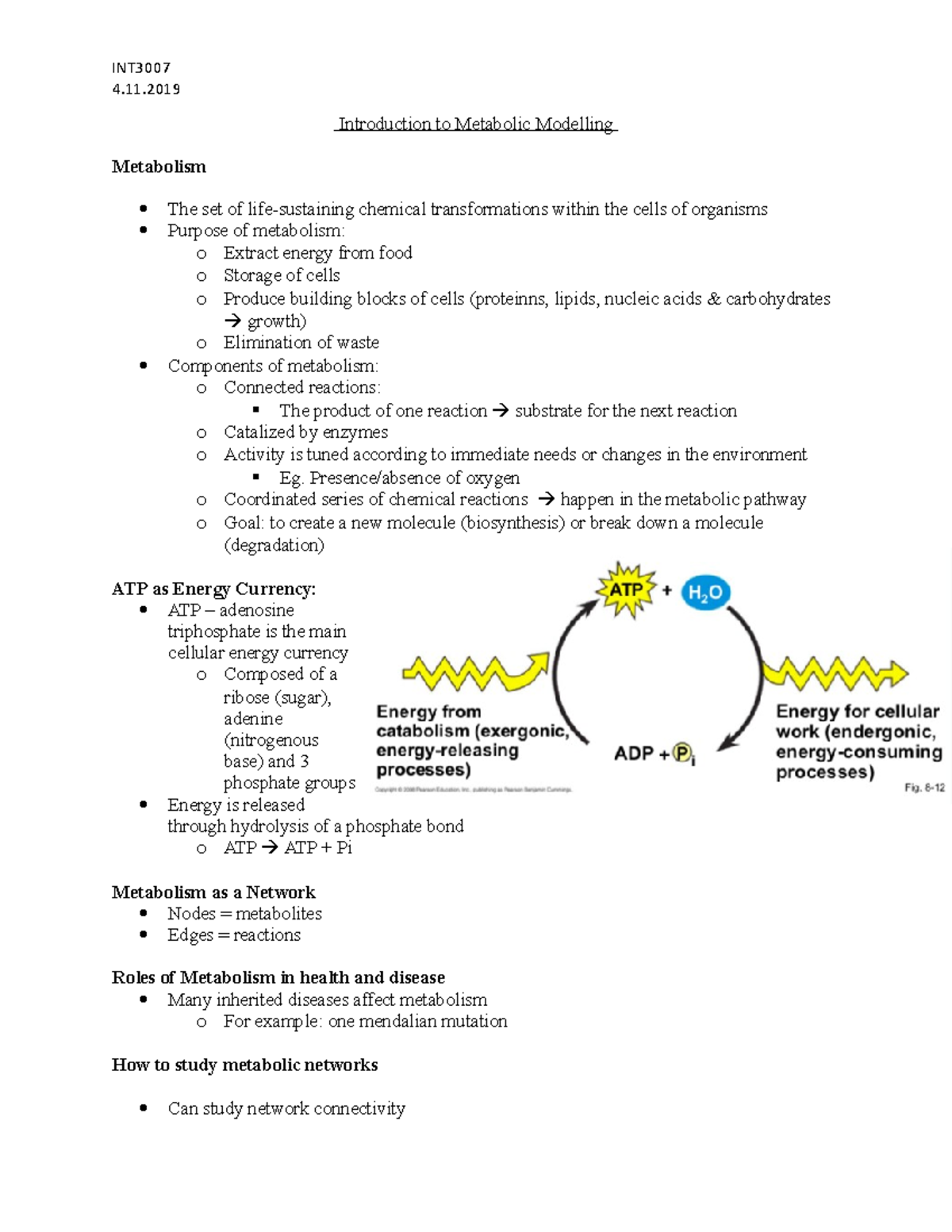 Lecture 2 - Introduction to Metabolic Modelling - Introduction to ...