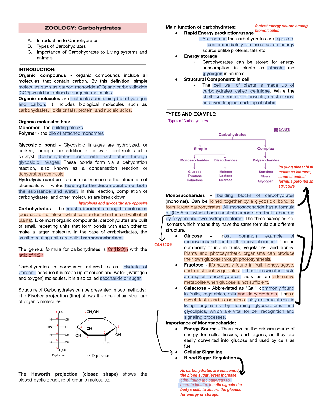 Carbs with Highlights - REVIEW LANGS - A. Introduction to Carbohydrates ...