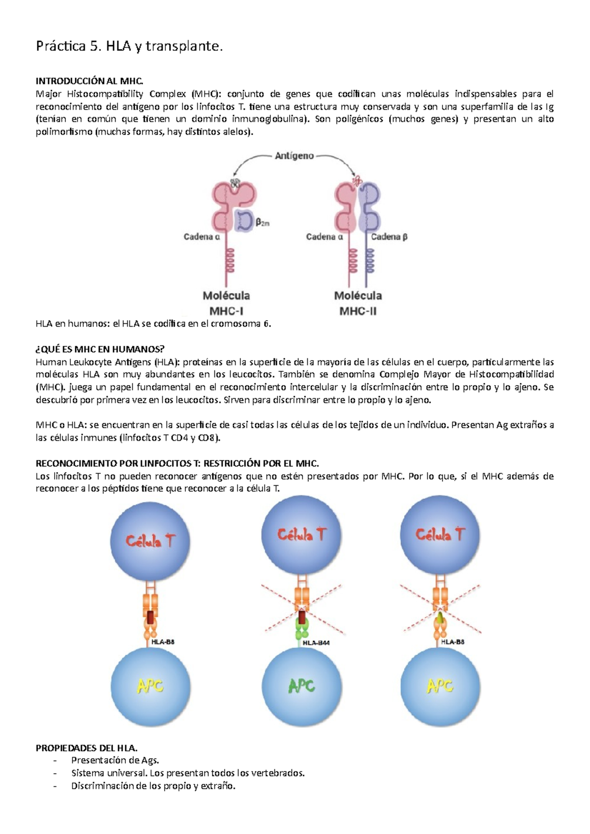 Práctica 5. HLA Y Transplante - Práctica 5. HLA Y Transplante ...