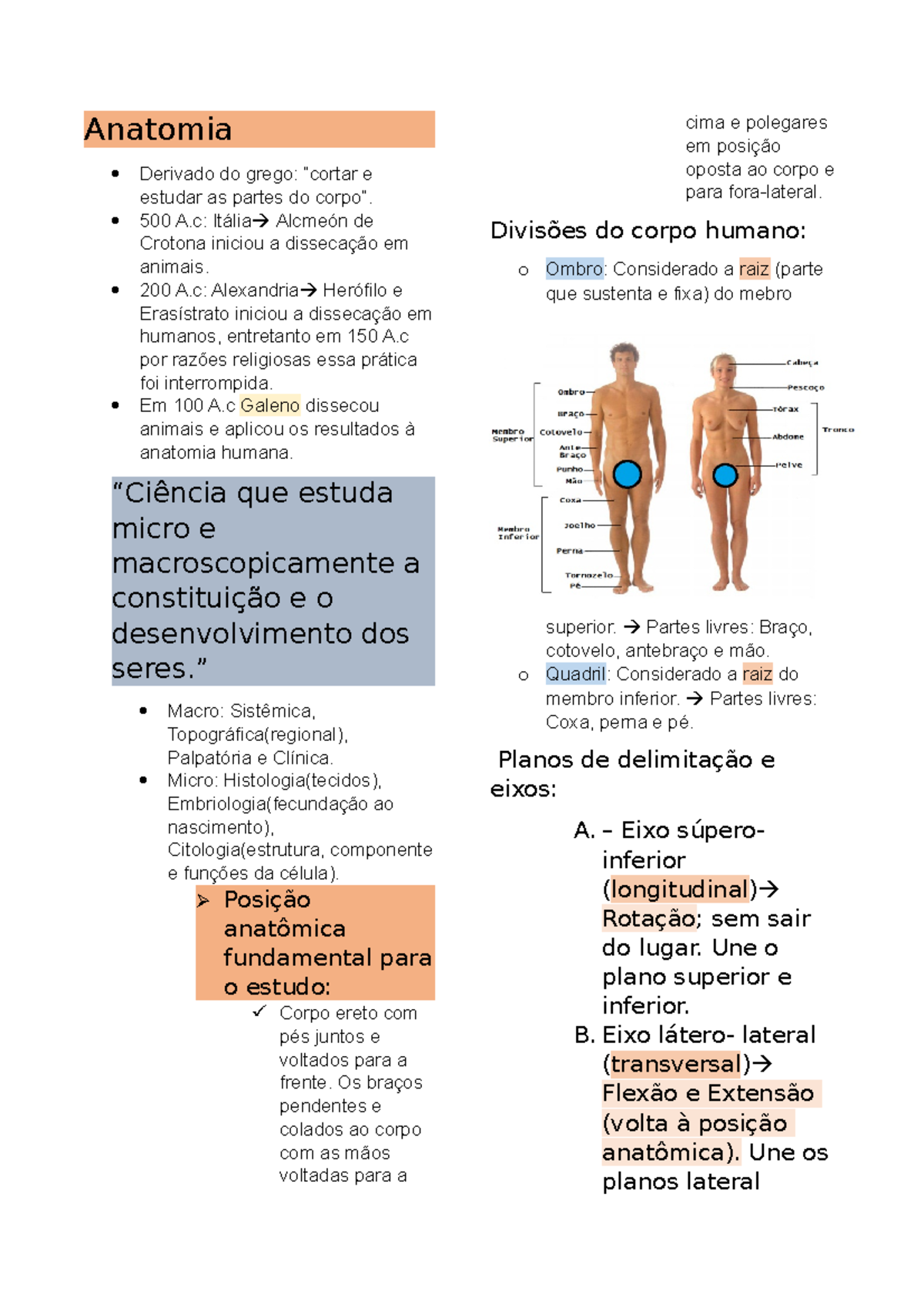 Anatomia Básica - Resumo Sobre O Assunto No Curso De Biomedicina 2021.1 ...