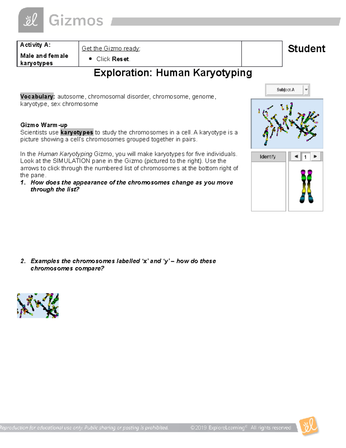 02c - Worksheet - Human Karyotyping Gizmo - POWR 2203 - BCIT - Studocu