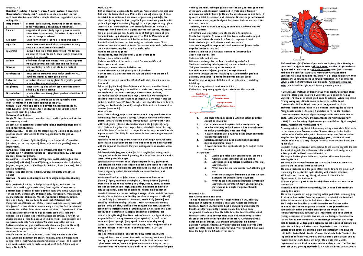 BM1011 Exam Notes - Module 1 = 5 Chemical → cellular → tissue → organ → ...