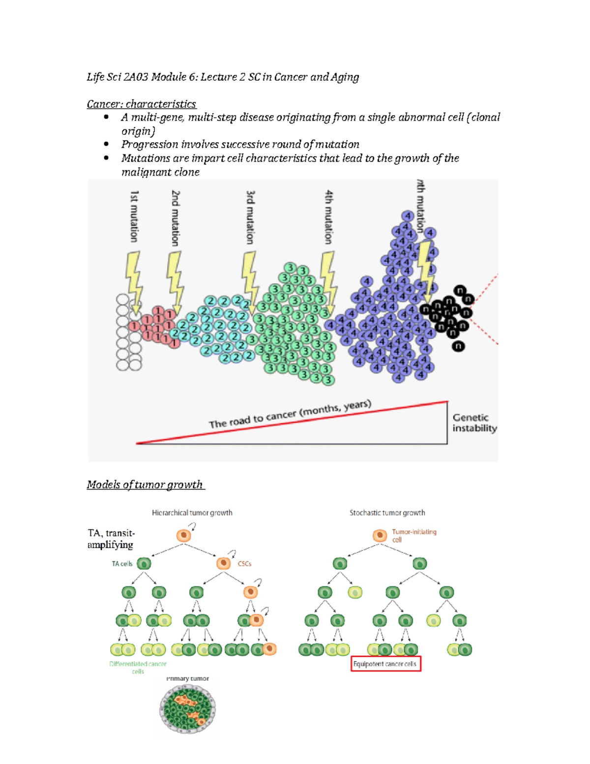 Life Sci 2A03 Module 6 Lecture 2 - Life Sci 2A03 Module 6: Lecture 2 SC ...