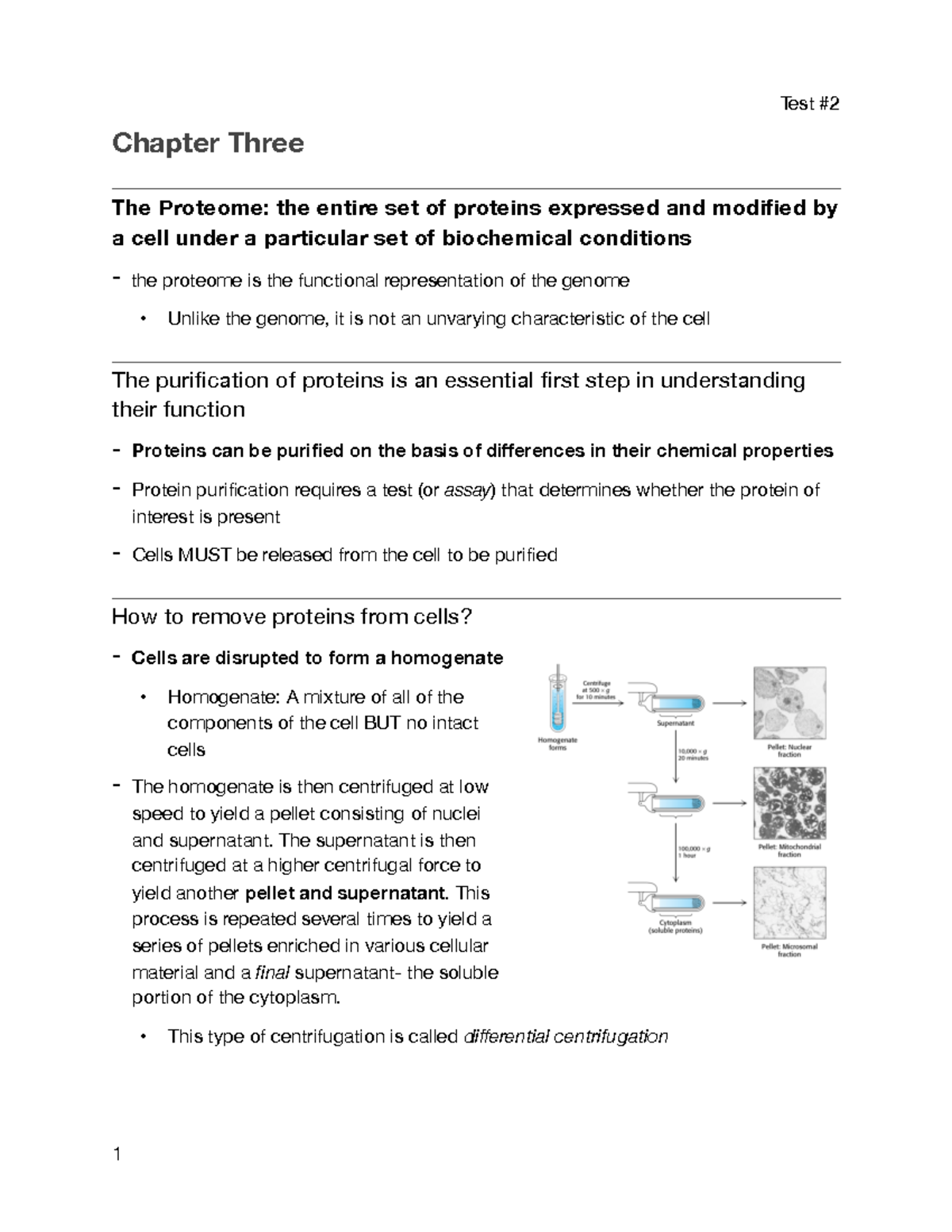 Chapter 3 Biochem - Test Chapter Three The Proteome: the entire set of ...