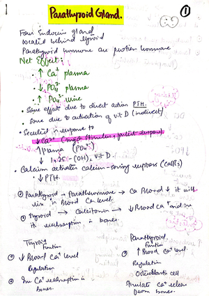 Peads milestones - important points and flow chart - Medicine - Studocu