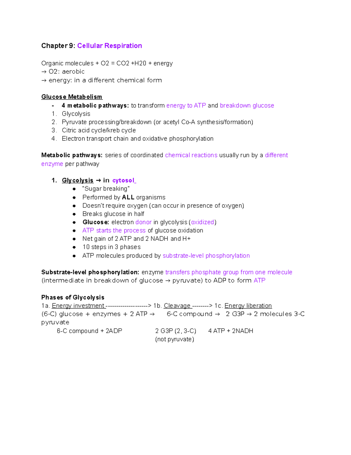 Bio exam 3 study guide - Chapter 9: Cellular Respiration Organic ...