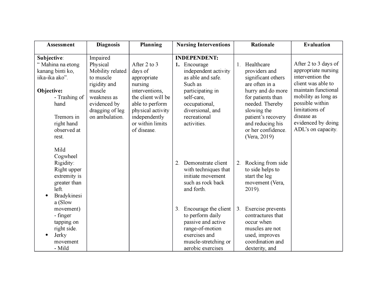 NCP-PD - ncp - Assessment Diagnosis Planning Nursing Interventions ...