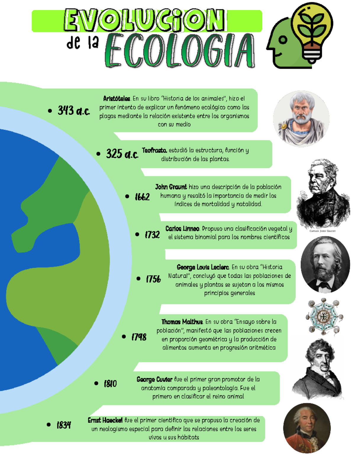 Linea E Ecologia Línea del tiempo ecológia Evolucion De la
