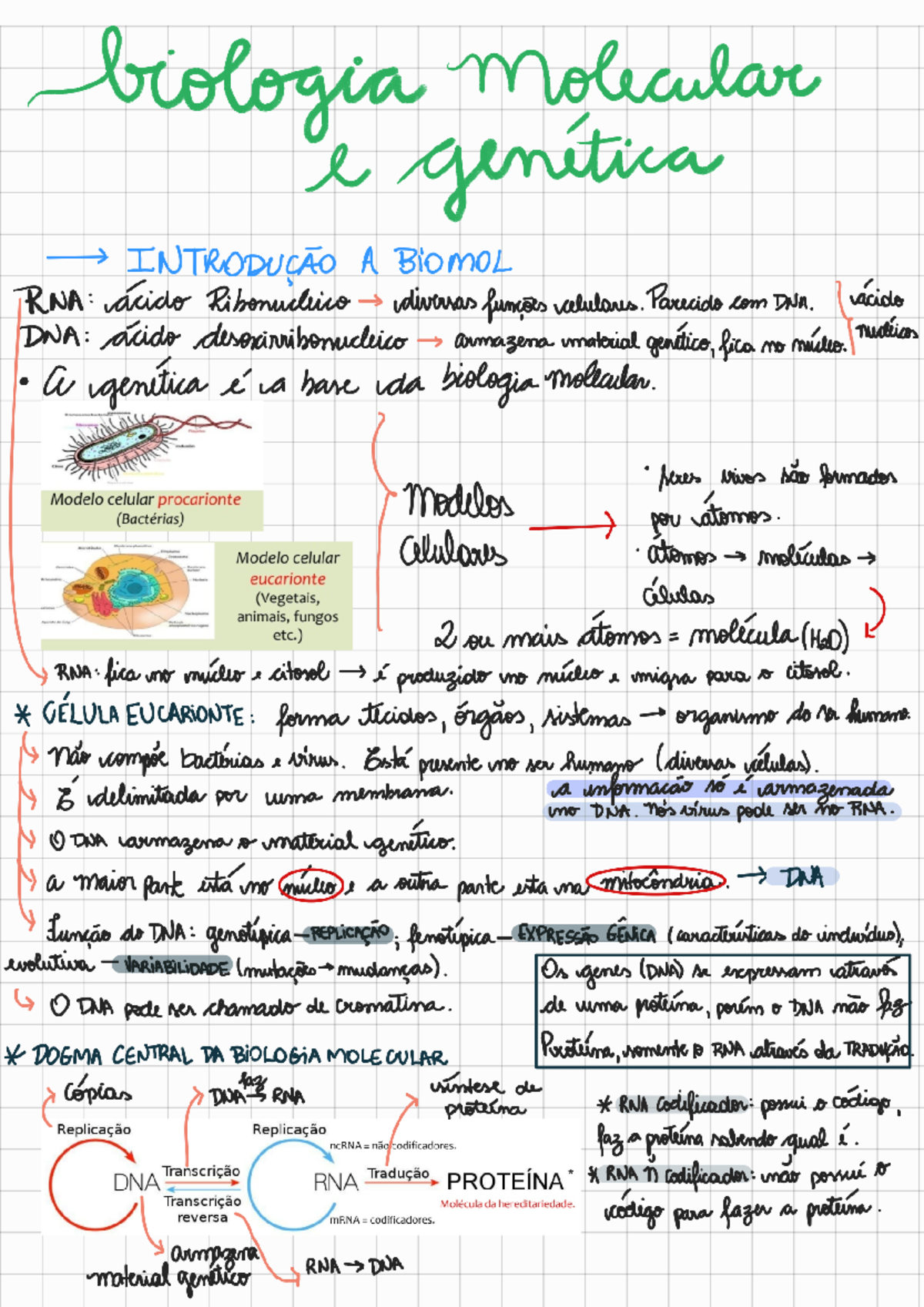Biologia molecular e genética resumo - Biologia Molecular e Genética ...