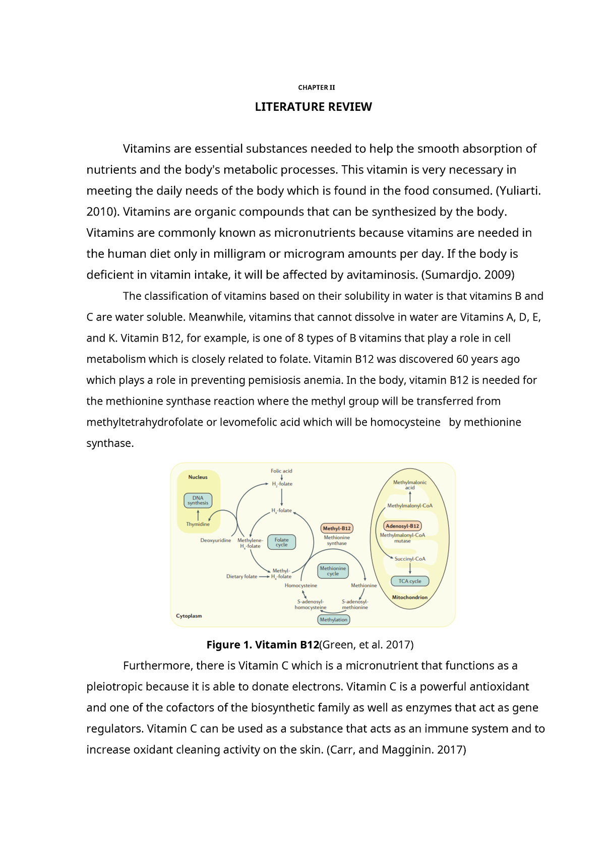 literature review on vitamins