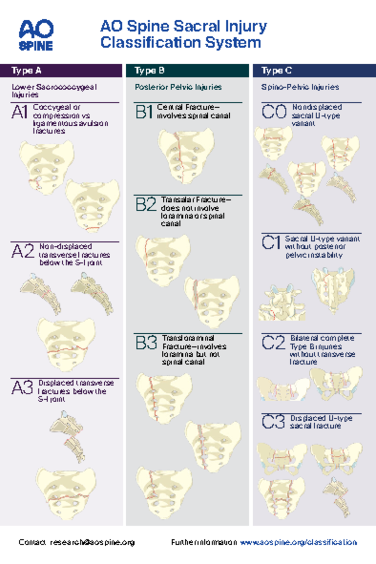 AOS Injury Classification Pocket Card Sacral - AO Spine Sacral Injury ...