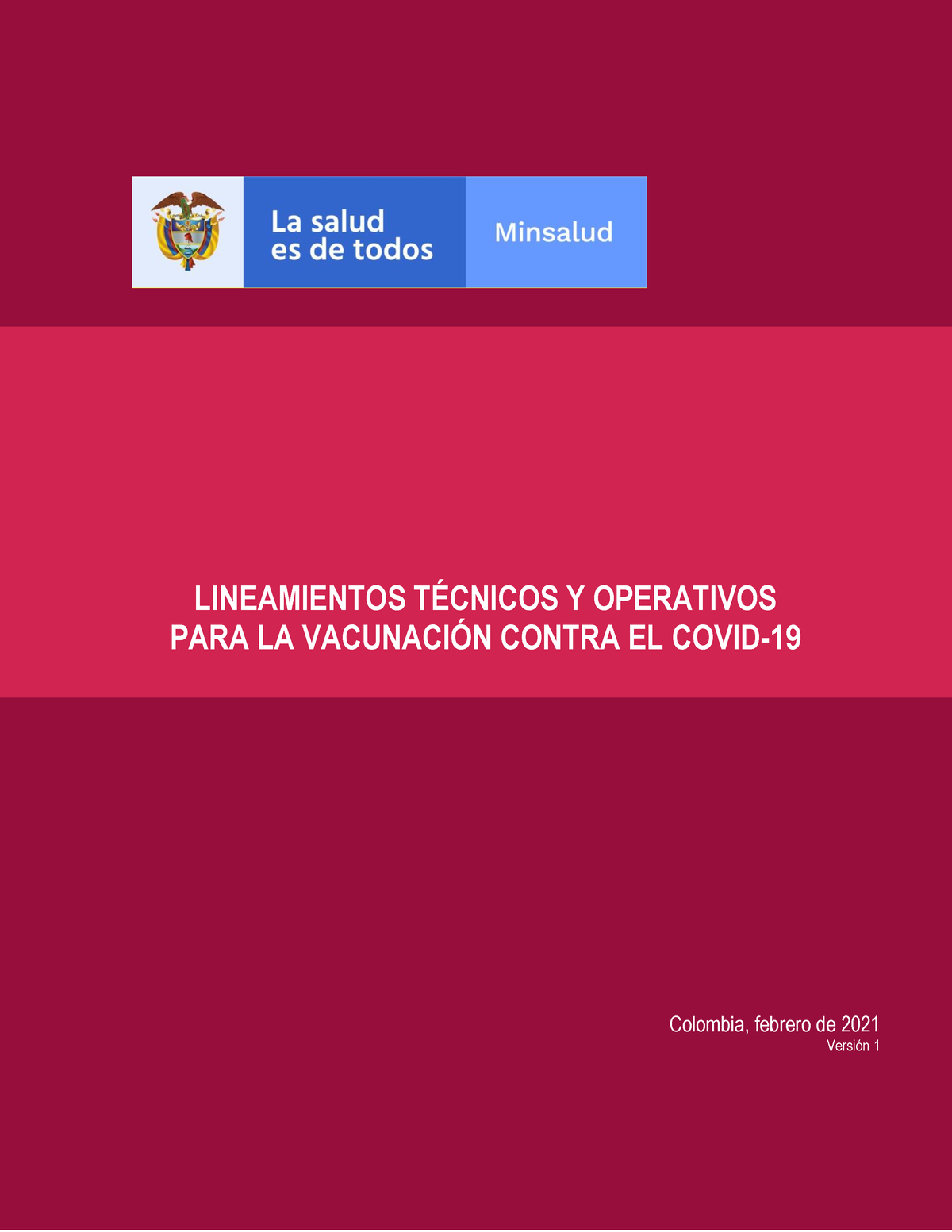 Lineamientos TÉ Cnicos Y Operativos Covid-19 Anexos - LINEAMIENTOS ...