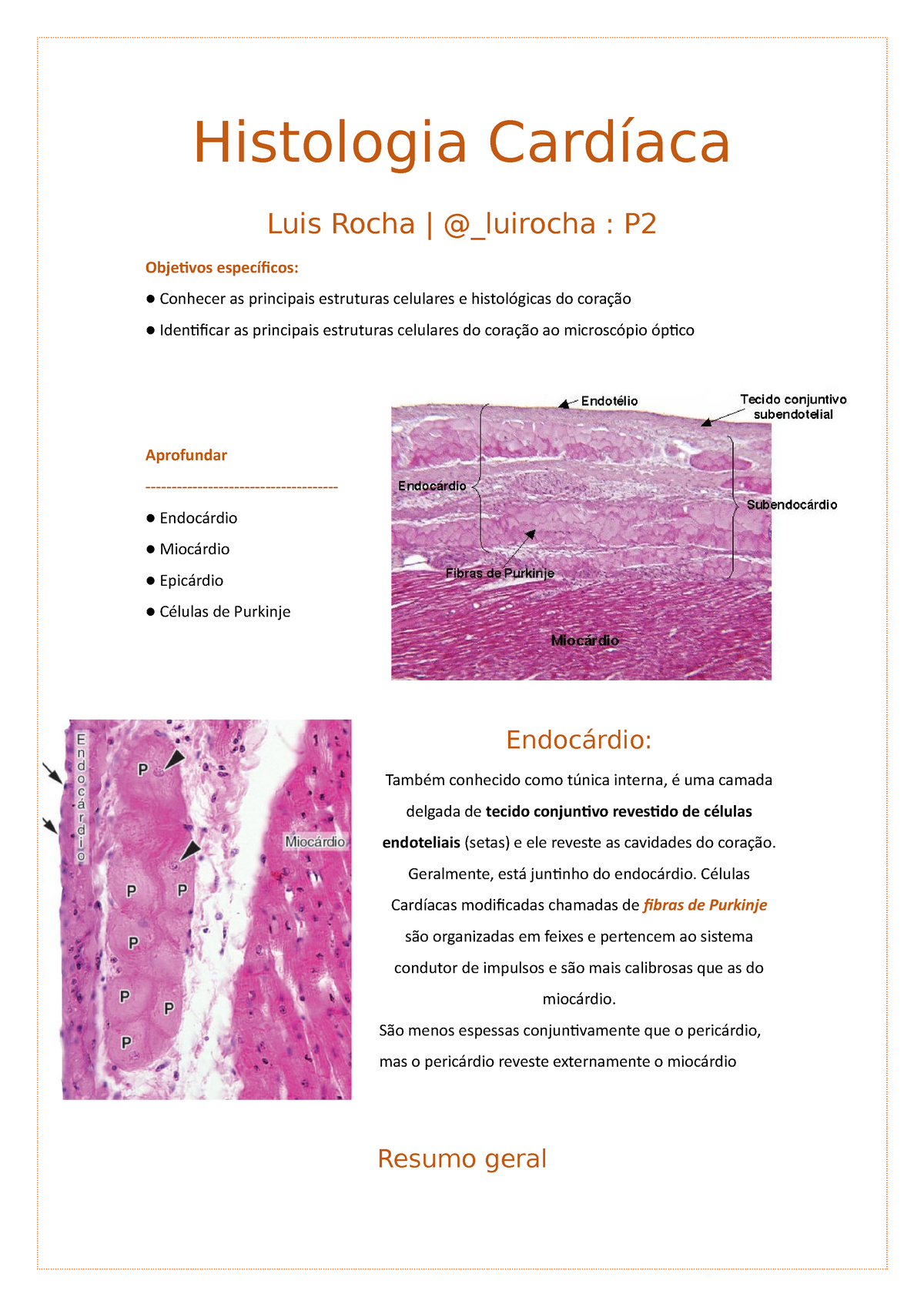 Histologia do Coração Histologia Cardíaca Luis Rocha luirocha P Objetivos específicos