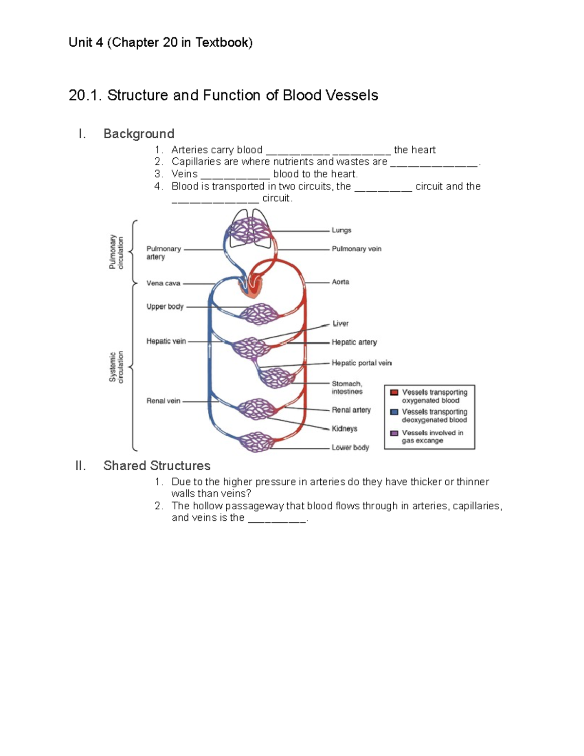 BIO 1300 Unit 4 Notes - 20. Structure and Function of Blood Vessels I ...