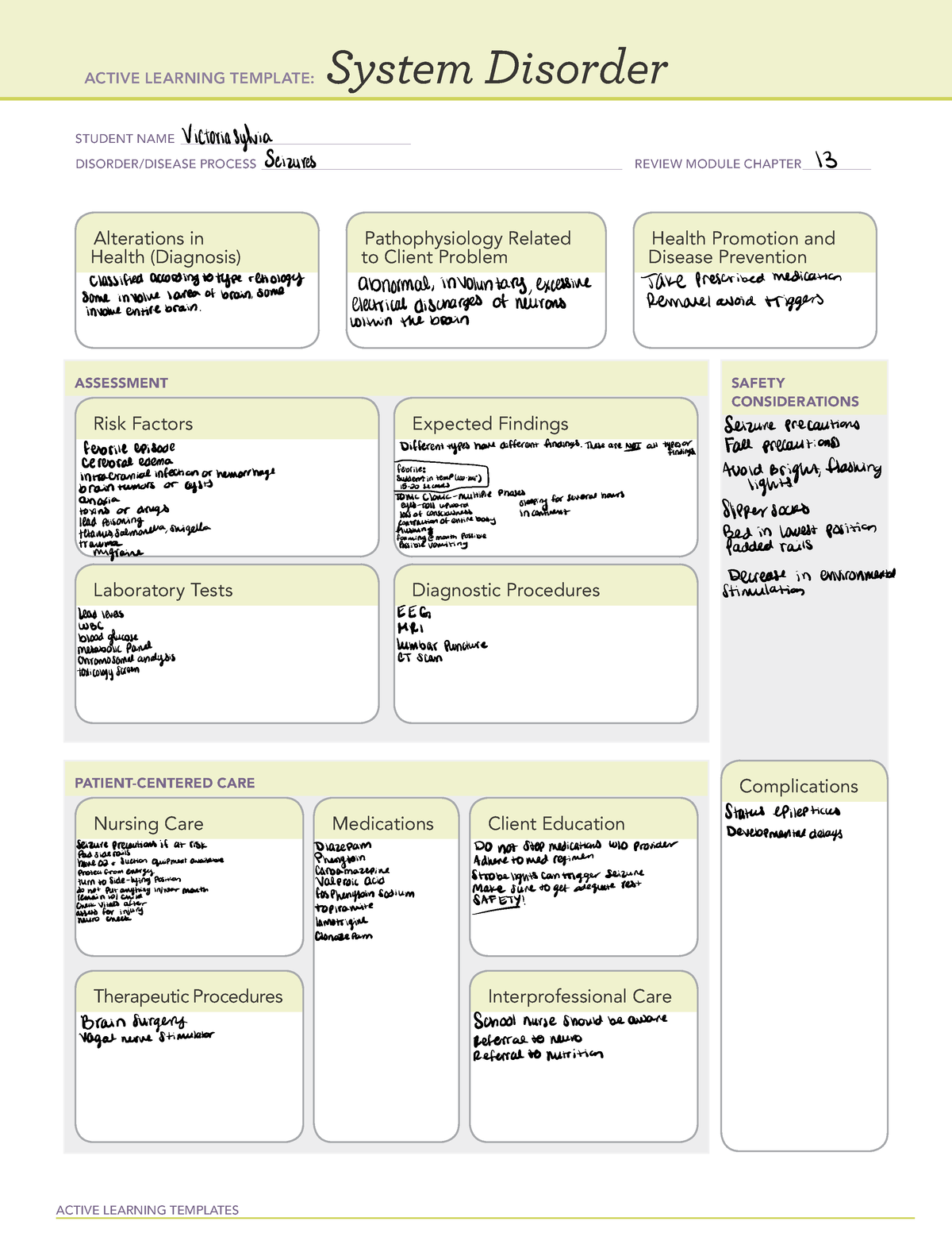 Seizures - ati system - ACTIVE LEARNING TEMPLATES System Disorder ...