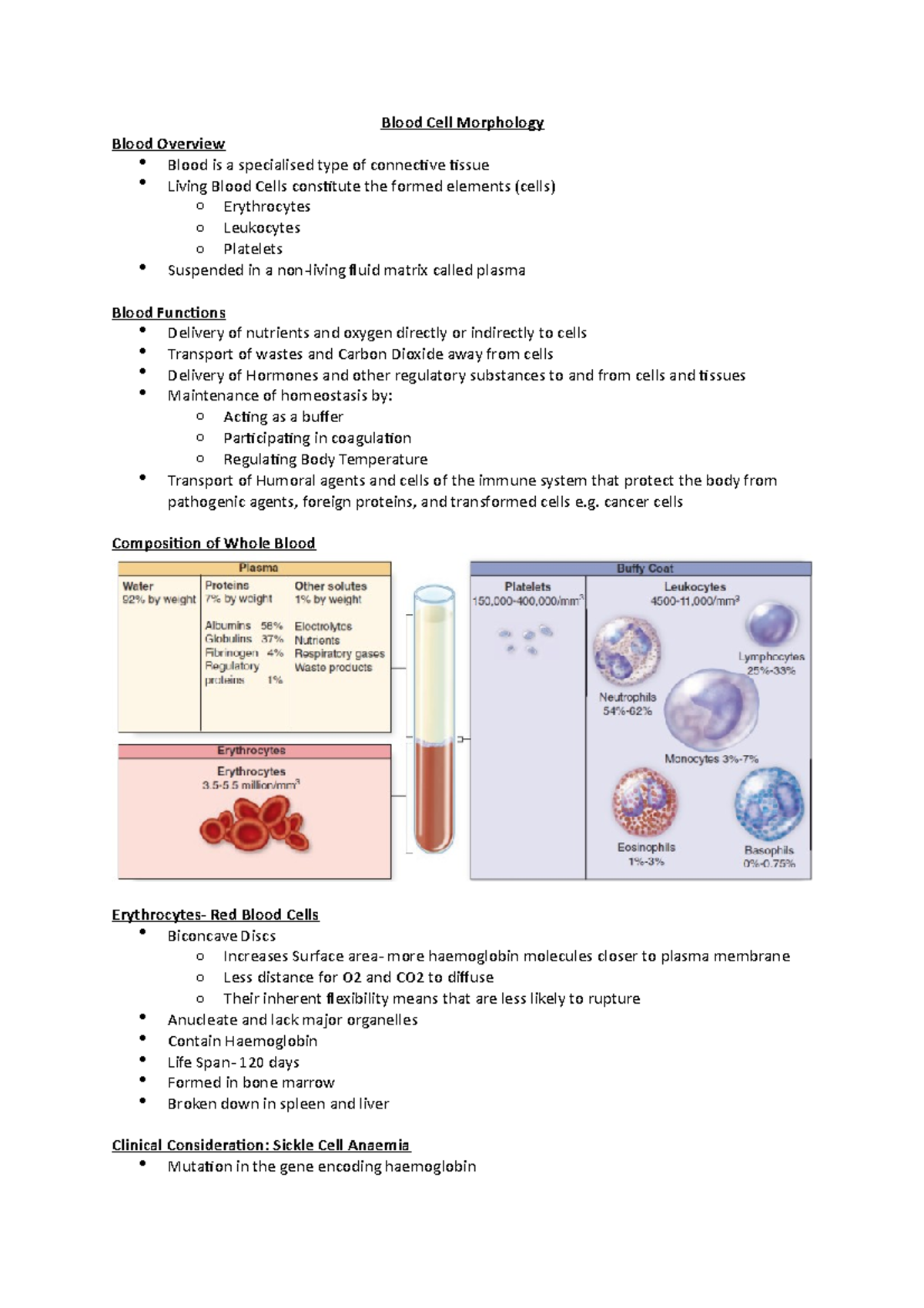 Blood Cell Morphology - Lecture notes 1 - Blood Cell Morphology Blood ...