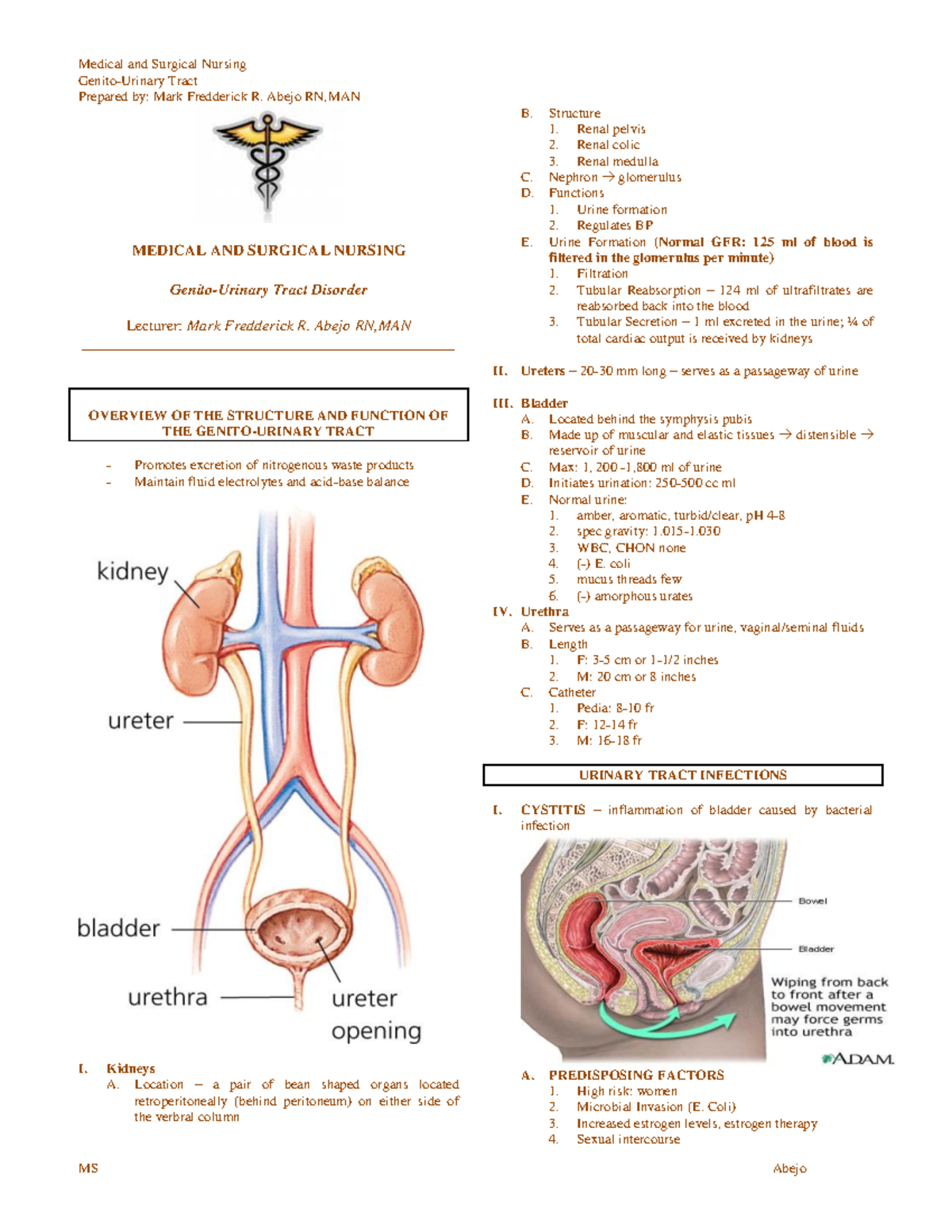 medsurg-genito-urinary-genito-urinary-tract-prepared-by-mark