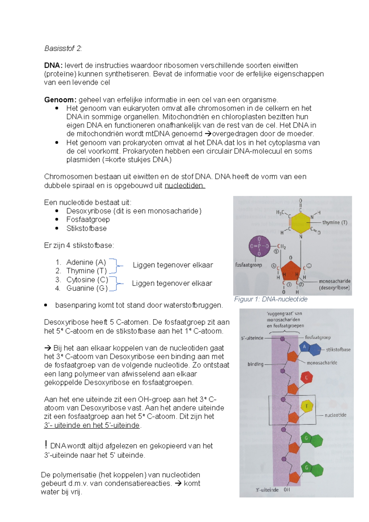 DNA Biologie Voor Jou 5 Vwo Samenvatting - Basisstof 2: DNA: Levert De ...