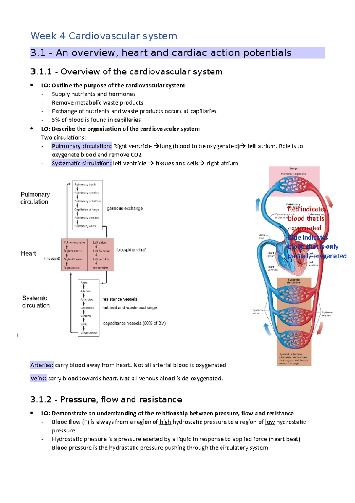 week 4 assignment cardiovascular and lymphatic systems