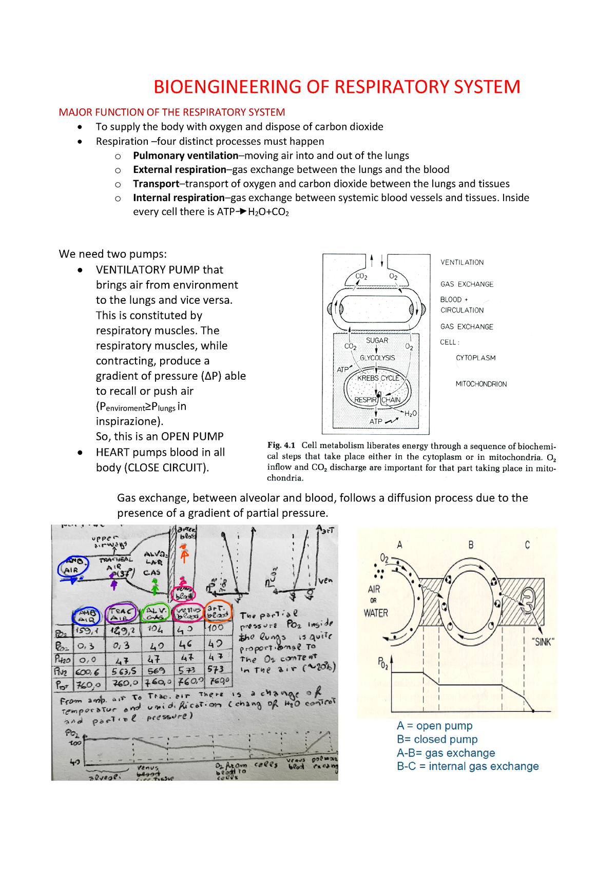 Dispense Da Lezione 1 A 9 - BIOENGINEERING OF RESPIRATORY SYSTEM MAJOR ...