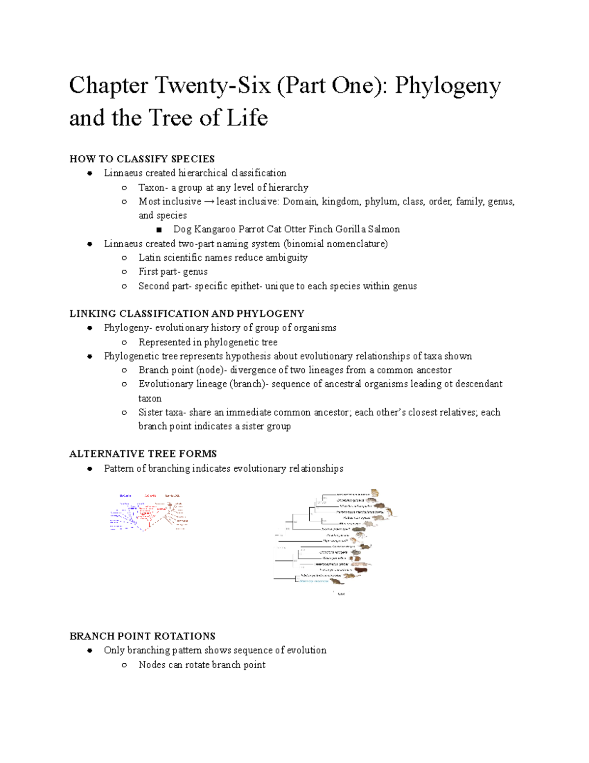 bi-212-chapter-26-notes-part-1-chapter-twenty-six-part-one