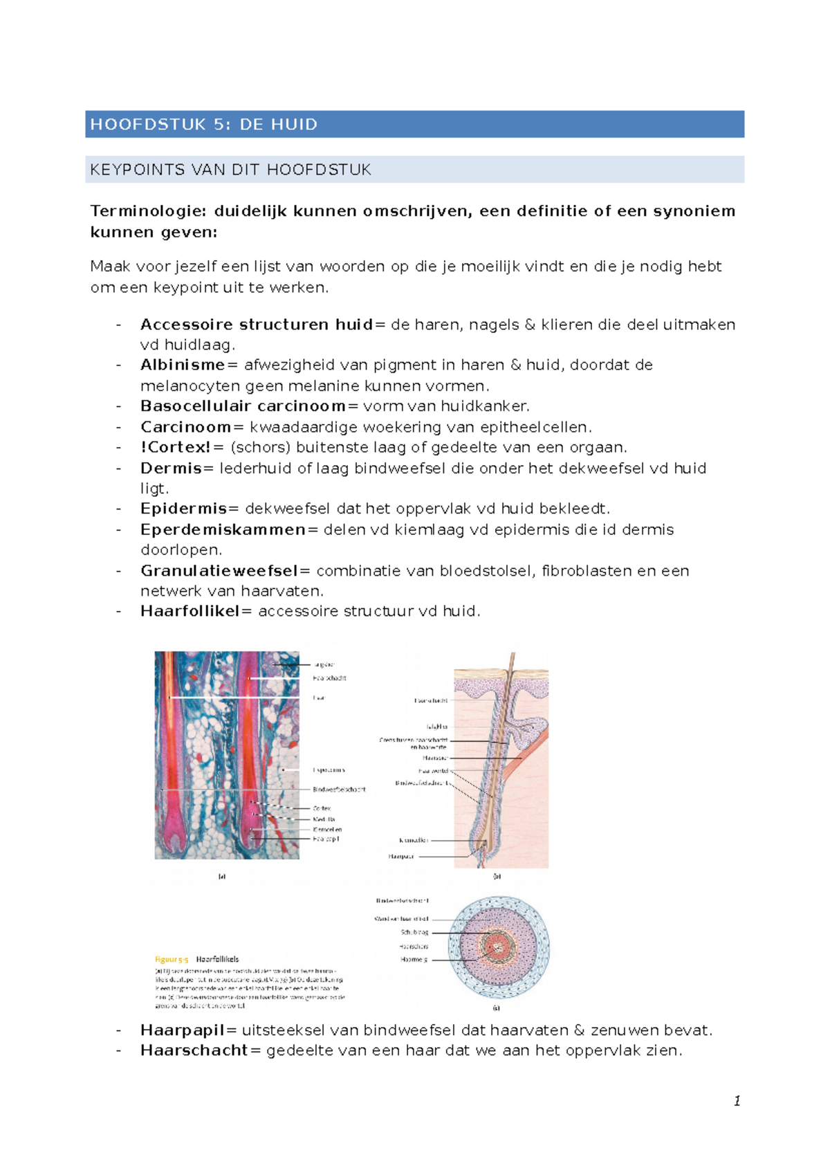 Keypoints 5 Huid - Key Point - HOOFDSTUK 5: DE HUID KEYPOINTS VAN DIT ...