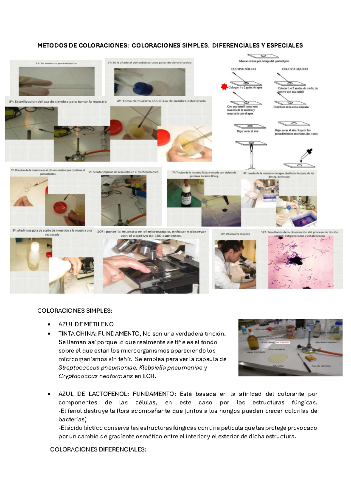 Semana 1 - ESPERO QUE TE AYUDE A ESTUDIAR - METODOS DE COLORACIONES ...