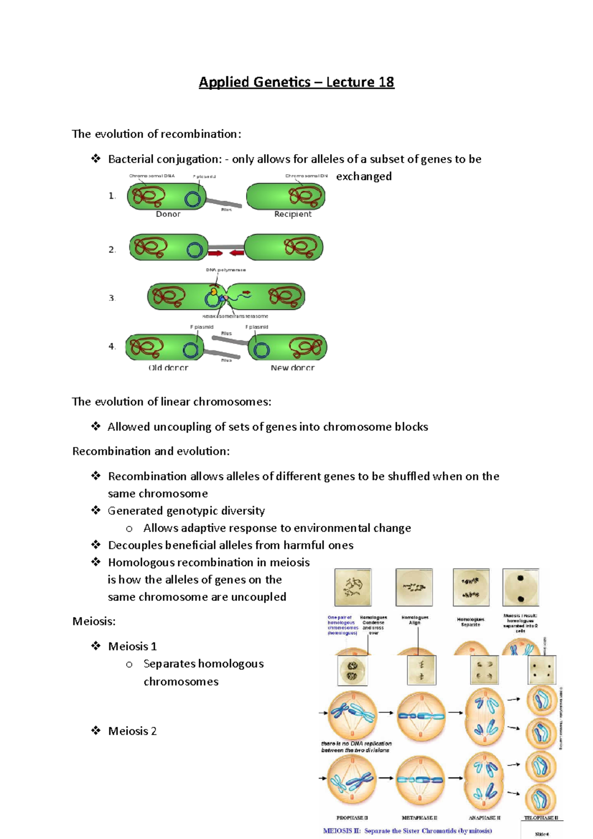 Applied Genetics – Lecture 18 - Applied Genetics – Lecture 18 The ...