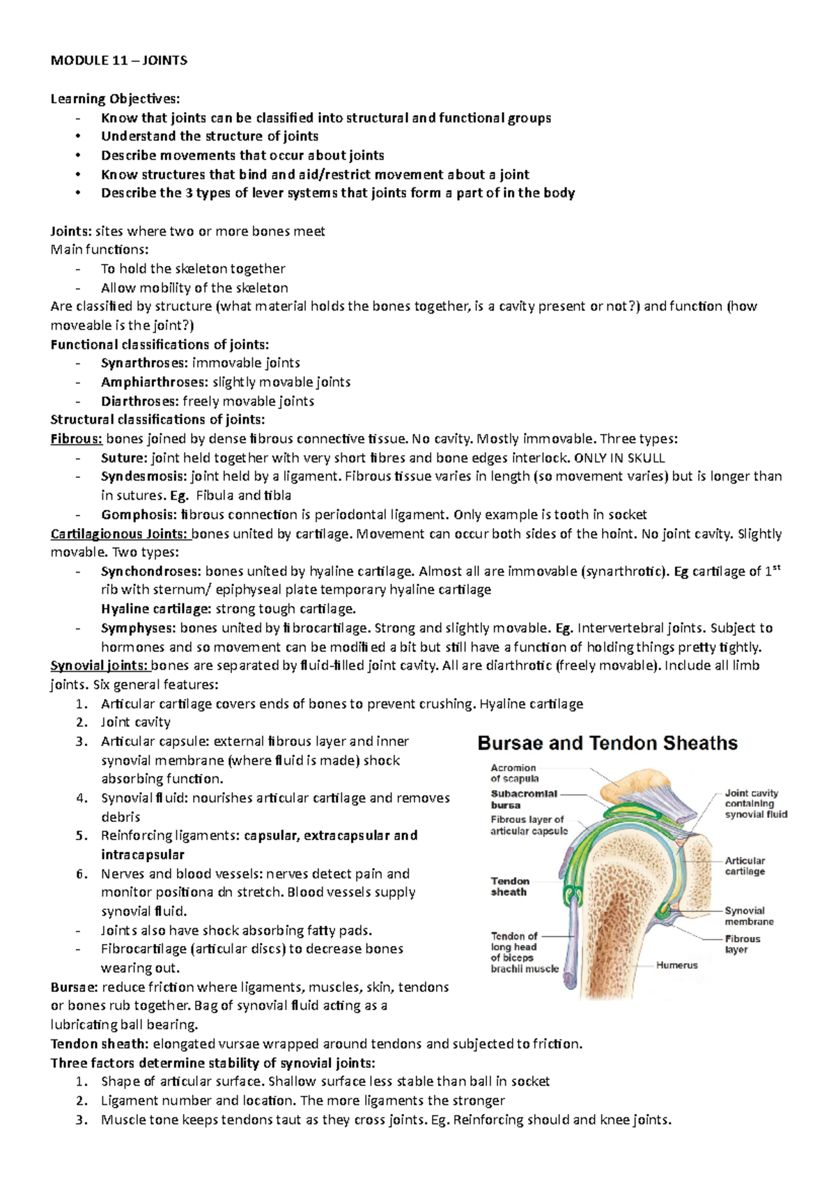 Module 11 Joints - Lecture Notes 11 - MODULE 11 – JOINTS Learning ...