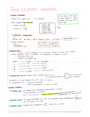 PDF+-+2%C2%BA+T%C3%A9cnicas+an%C3%A1lisis+hematol%C3%B3gico+-+Tema+1 ...