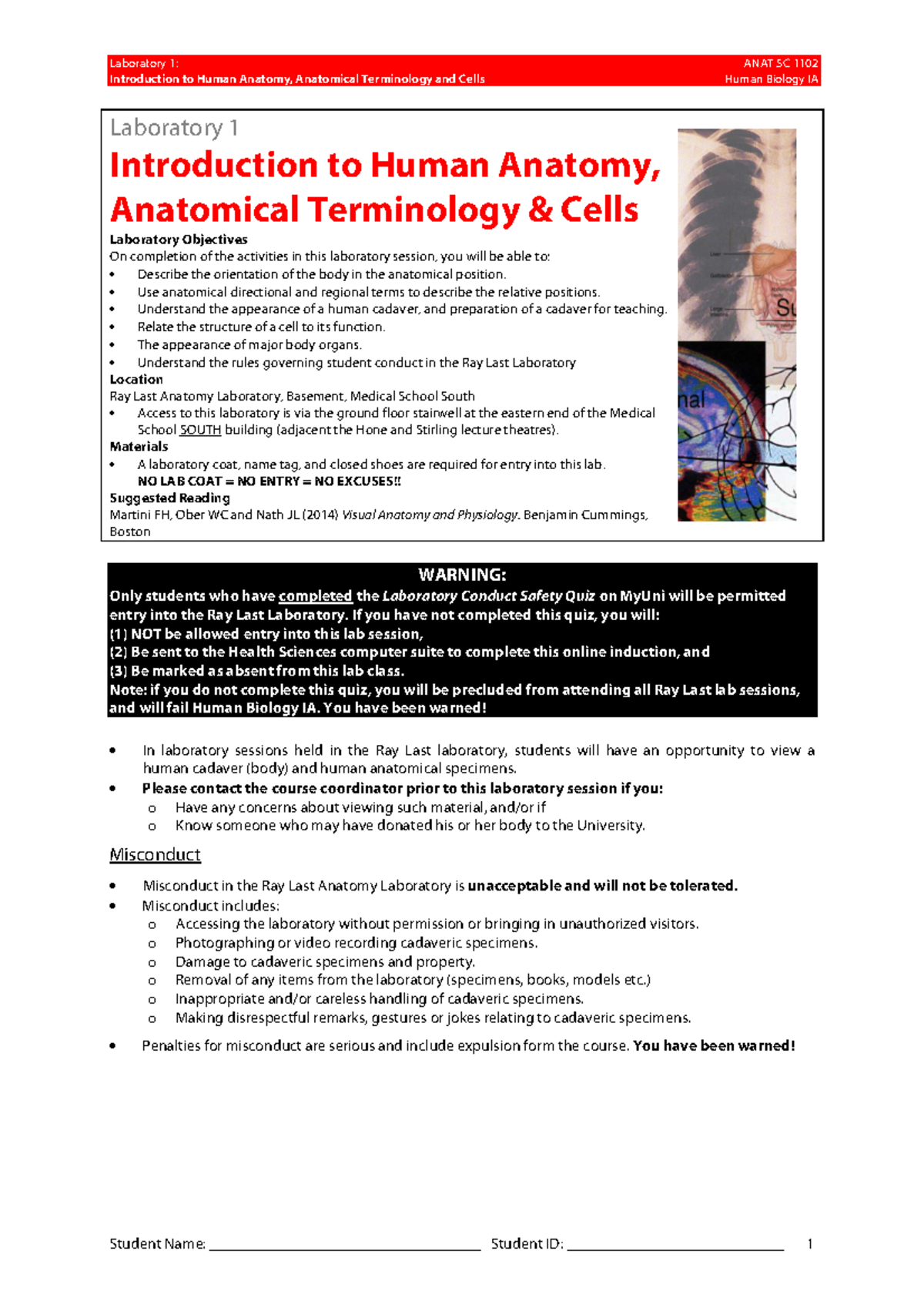 HBIA 2018 - Lab 1 Introduction To Human Anatomy And Anatomical ...