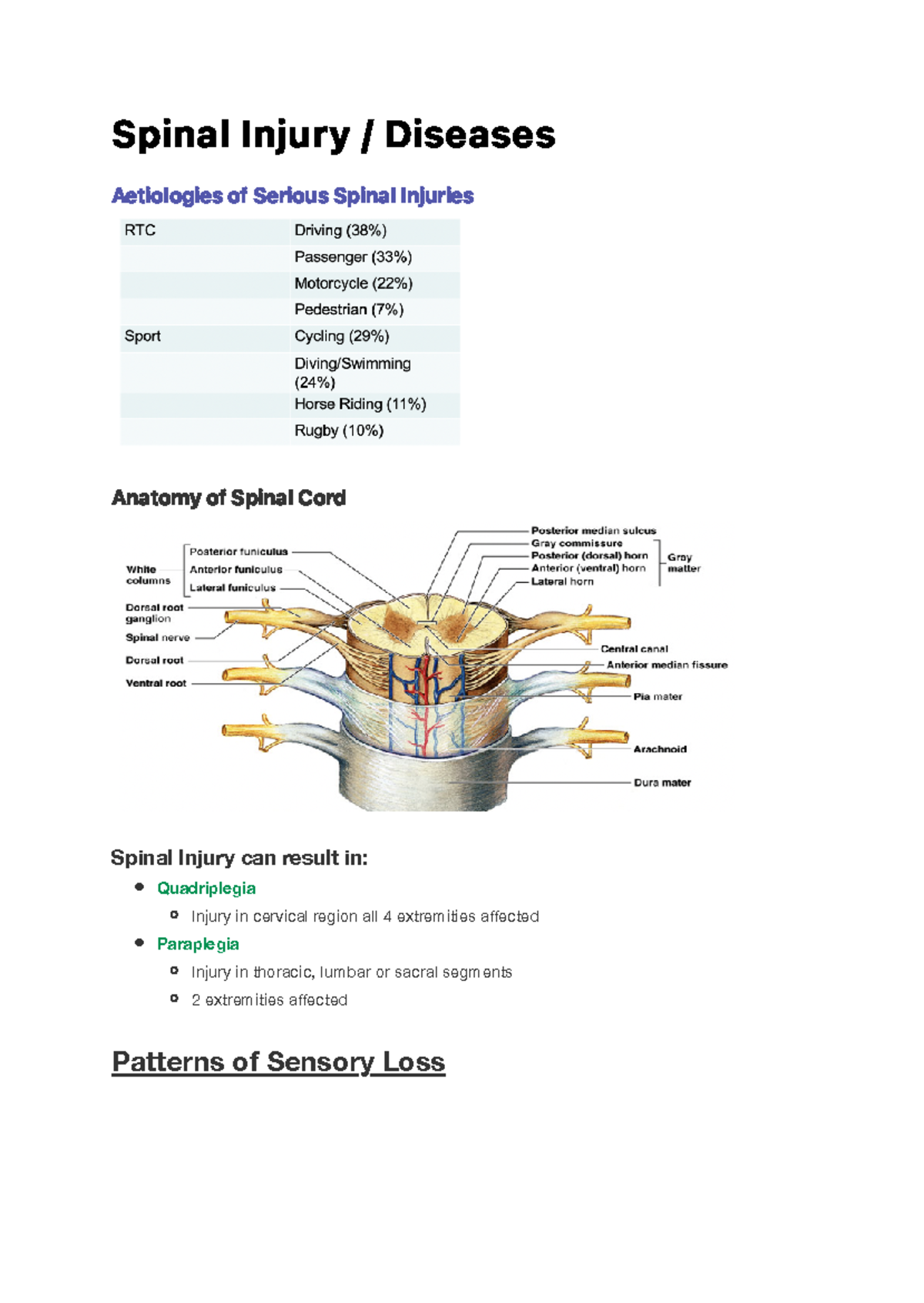 Spinal Injury - Diseases - S p i n a l I n j u r y / D i s e a s e s ...