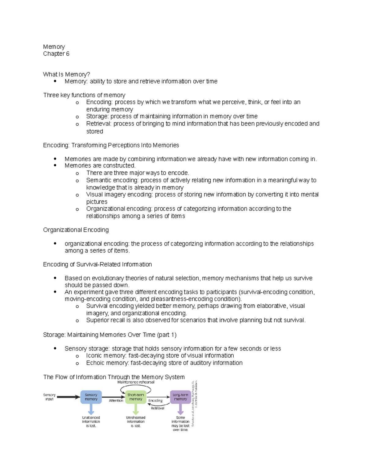 chapter-6-principles-of-psychology-memory-chapter-6-what-is-memory