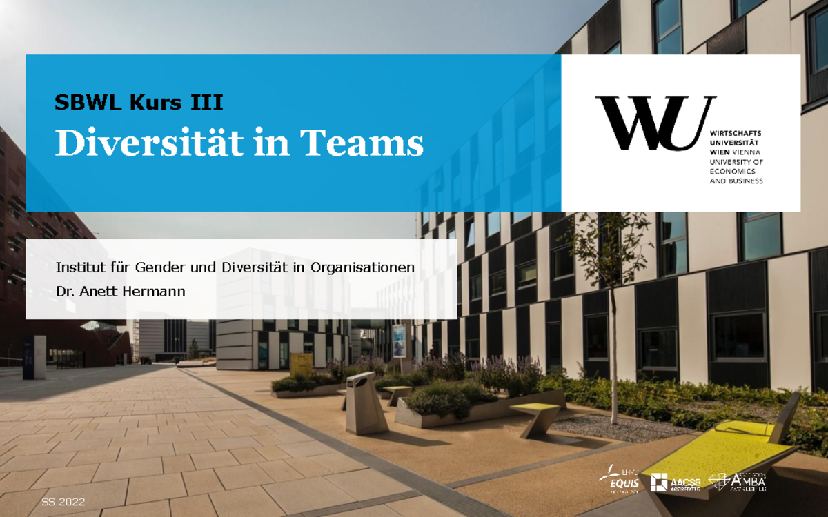 diversit-t-in-teams-ein1-diversit-t-in-teams-sbwl-kurs-iii-institut-f