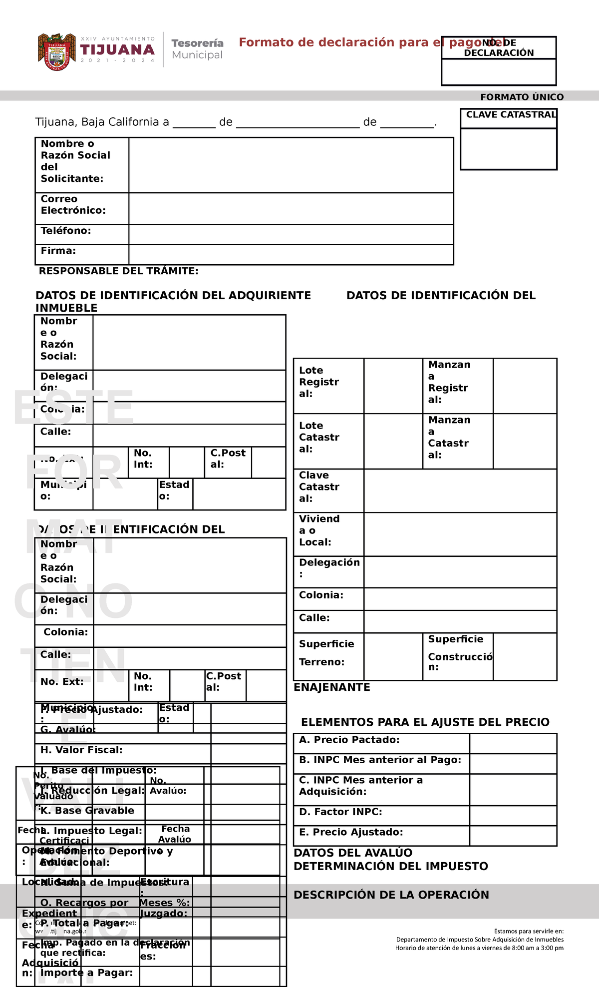 Formato Declaracion E Instructivo ( Editable) Formato de declaración